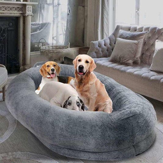 Human Size Dog Bed
